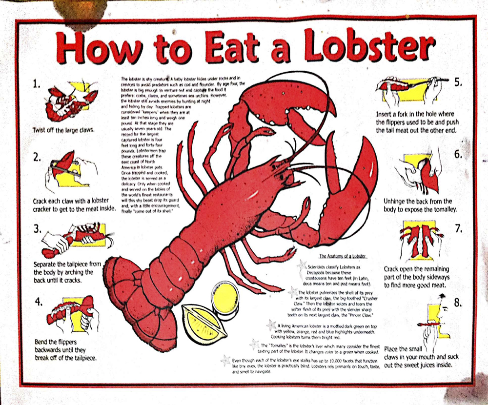 Techniques: “How To Eat Maine Lobster” – Cuisinology